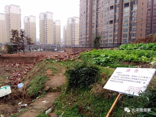 光澤縣土地拍賣成交樓面價創新高，福州房地產開發商以1.382億元競得27.6畝地塊