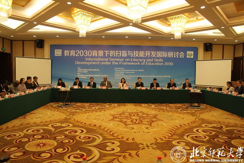 教育2030背景下的掃盲與技能開發(fā)國際研討會 技術開發(fā)的創(chuàng)新路徑